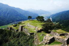 Takeda Castle